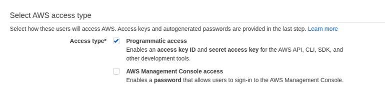 Programmatic access